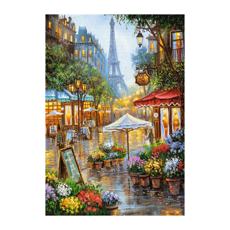 CASTORLAND Puzzle Jarní květiny v Paříži 1000 dílků