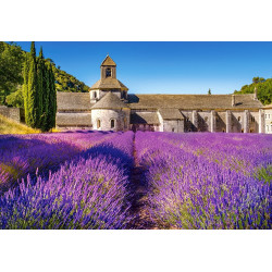 CASTORLAND Puzzle Levandulové pole v Provence, Francie 1000 dílků