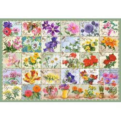 CASTORLAND Puzzle Herbář květin 1000 dílků