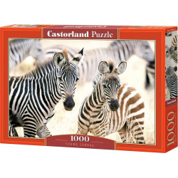 CASTORLAND Puzzle Mladé zebry 1000 dílků