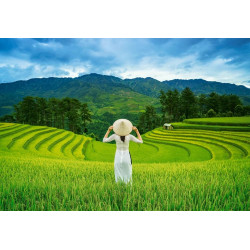 CASTORLAND Puzzle Rýžová pole ve Vietnamu 1000 dílků