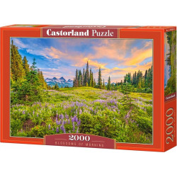 CASTORLAND Puzzle Ranní květy 2000 dílků