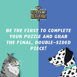 RIDLEY'S GAMES Puzzle Duel Domácí mazlíčci: Kočky vs psi 2x70 dílků