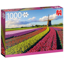 JUMBO Puzzle Pole tulipánů 1000 dílků