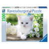 RAVENSBURGER Puzzle Bílé kotě 1500 dílků