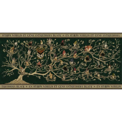 RAVENSBURGER Panoramatické puzzle Harry Potter: Rodokmen 2000 dílků