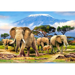 CASTORLAND Puzzle Ráno pod Kilimandžárem 1000 dílků