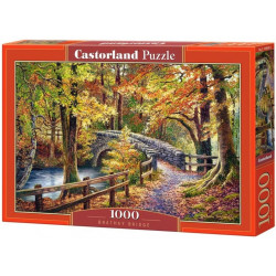CASTORLAND Puzzle Most v Brathay 1000 dílků
