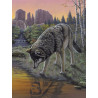 Malování podle čísel 22x30 cm- Vlk