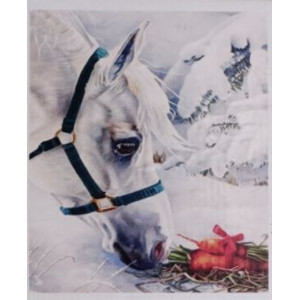Malovaní na plátno 40x50cm Bílý kůň