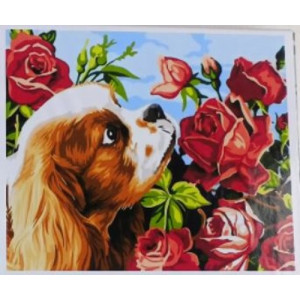 Malovaní na plátno 40x50cm Pejsek s růžemi