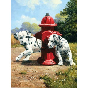 Malování podle čísel 22x30 cm- Dalmatini u červeného hydrantu