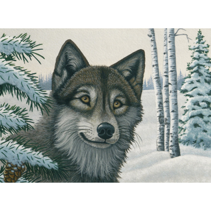 Malování podle čísel 40x32cm - Vlk ve sněhu