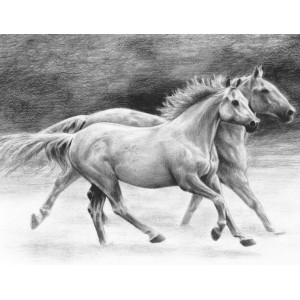 Malování SKICOVACÍMI TUŽKAMI-Běžící koně