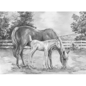 Malování SKICOVACÍMI TUŽKAMI - Kůň a hříbě