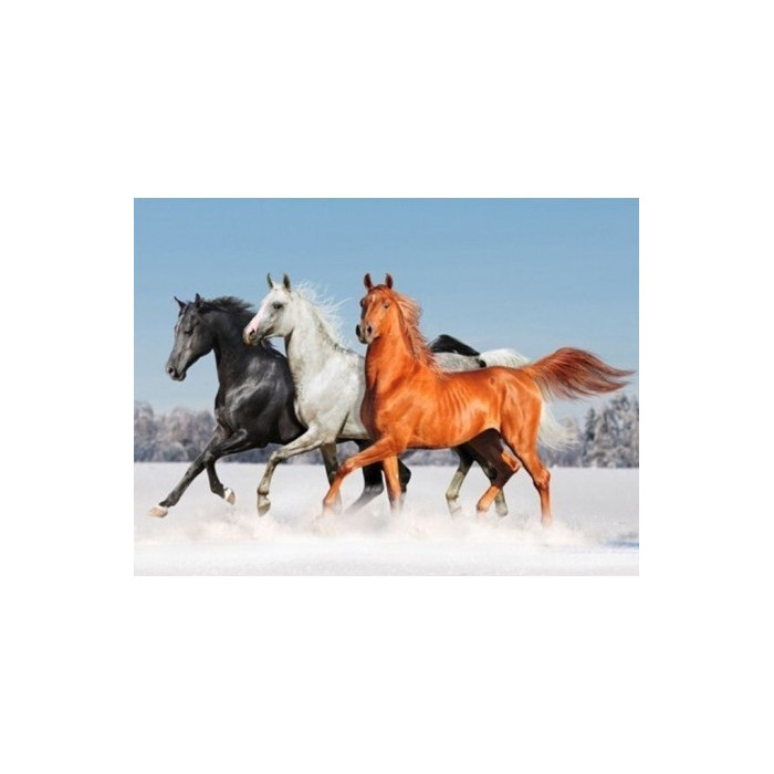 Diamantový obrázek - Arabské koně 30x40cm
