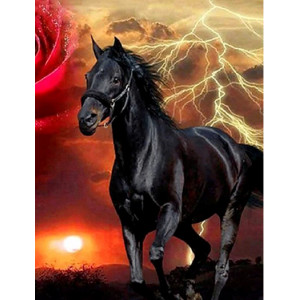 Diamantový obrázek -Černý kůň 30x40cm