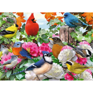 RAVENSBURGER Puzzle Zahradní ptáci 500 dílků