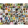 RAVENSBURGER Puzzle 99 roztomilých psů XL 750 dílků