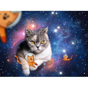 RAVENSBURGER Puzzle Kočky ve vesmíru 1500 dílků