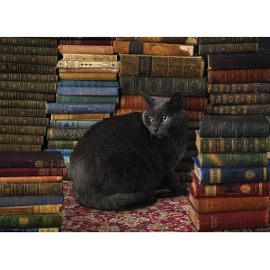 COBBLE HILL Puzzle Kočka v knihovně 1000 dílků