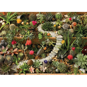 COBBLE HILL Puzzle Zahrada sukulentů 1000 dílků