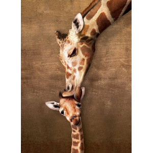 EUROGRAPHICS Puzzle Polibek žirafy XL 500 dílků
