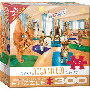 EUROGRAPHICS Puzzle Jóga studio XL 300 dílků