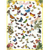 EUROGRAPHICS Puzzle Motýli 1000 dílků