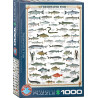 EUROGRAPHICS Puzzle Sladkovodní ryby 1000 dílků