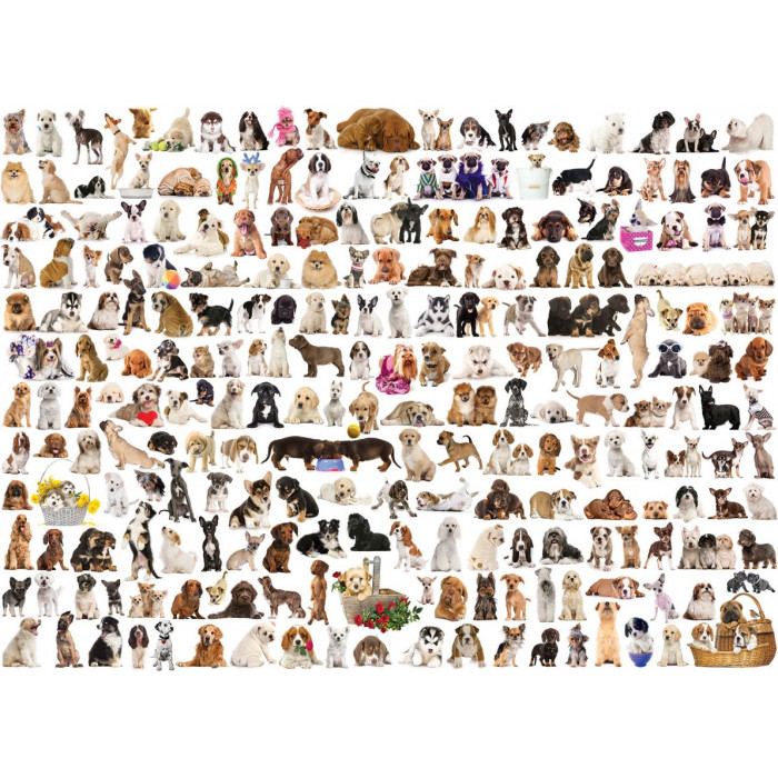 EUROGRAPHICS Puzzle Svět psů 1000 dílků