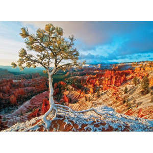 EUROGRAPHICS Puzzle Zimní svítání, Bryce Canyon (HDR) 1000 dílků