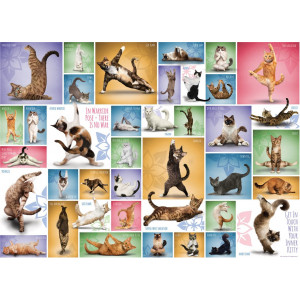 EUROGRAPHICS Puzzle Kočičí jóga 1000 dílků