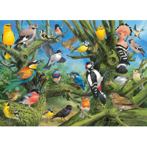EUROGRAPHICS Puzzle Ptáci v zahradě 1000 dílků