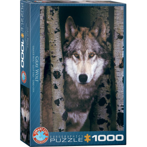 EUROGRAPHICS Puzzle Šedý vlk 1000 dílků