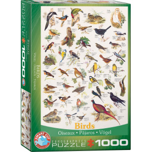 EUROGRAPHICS Puzzle Ptáci 1000 dílků