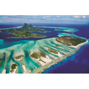 EUROGRAPHICS Puzzle Save Our Planet: Korálový útes 1000 dílků