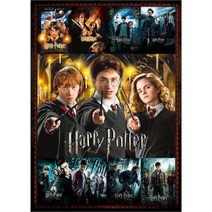 AQUARIUS Puzzle Harry Potter: Filmové plakáty 1000 dílků
