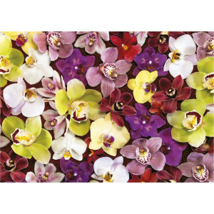 EDUCA Puzzle Koláž z orchidejí 1000 dílků